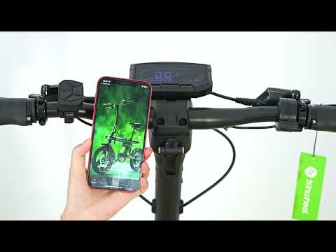GT4 2400W Dual Motor Off-Road Electric Scooter